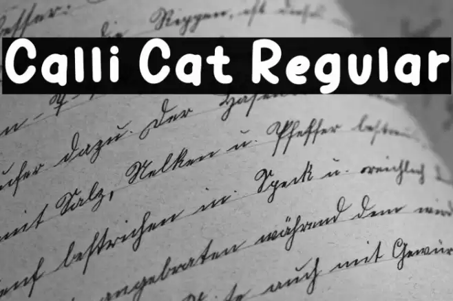 Calli Cat Regular Font examples