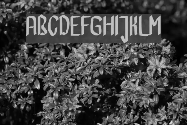 CalliBrush Font examples