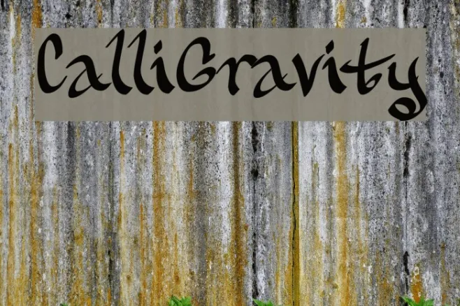 CalliGravity Example 1