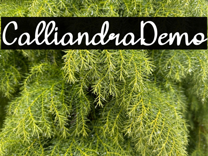 Calliandra-Demo Example 1