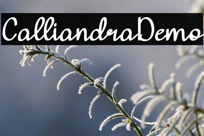 Calliandra-Demo Example 3