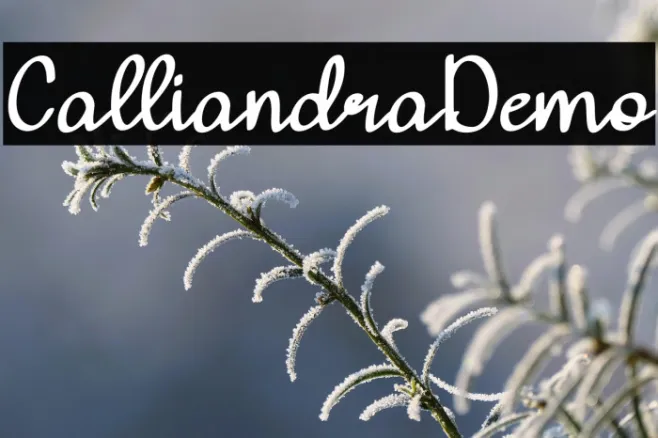 Calliandra-Demo Example 3