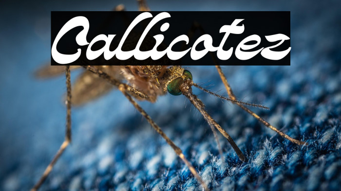 Callicotez Example 1