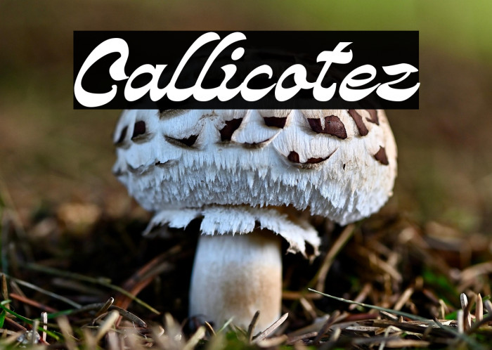 Callicotez Example 3