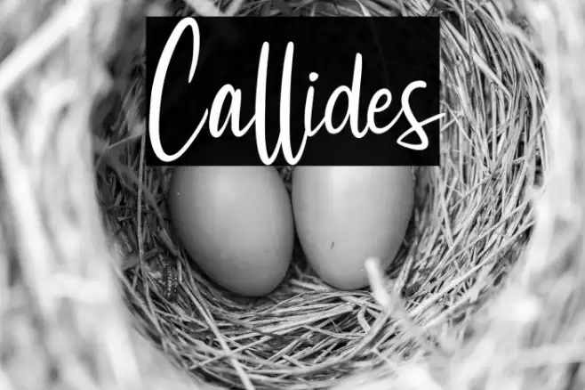 Callides Font examples