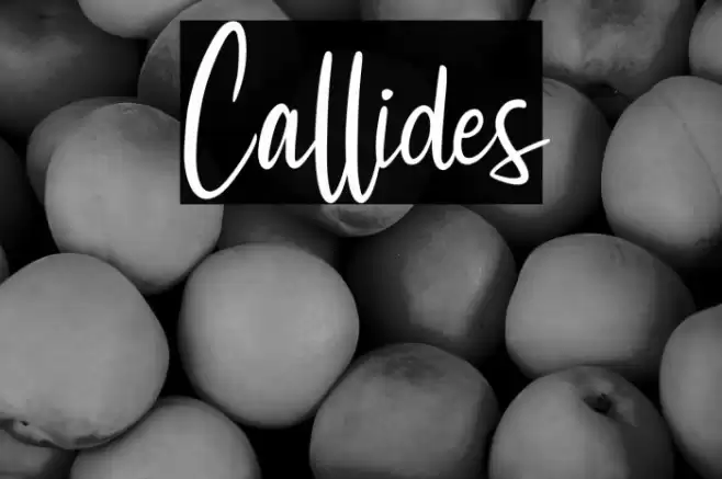 Callides Font examples