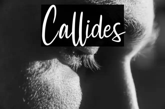 Callides Font examples
