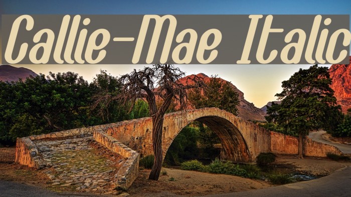 Callie-Mae Italic Font examples