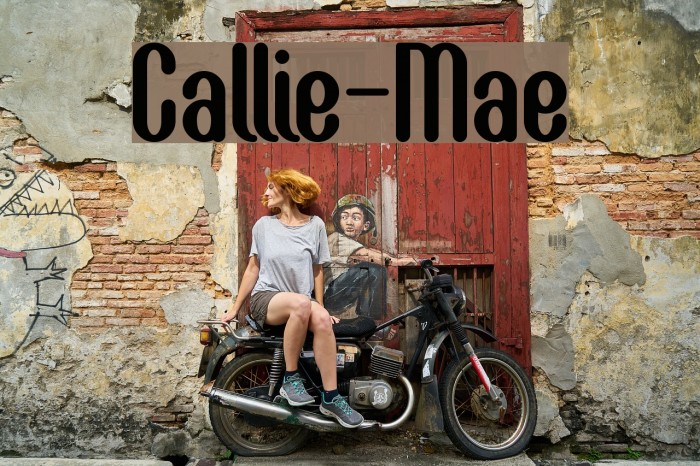 Callie-Mae Font examples