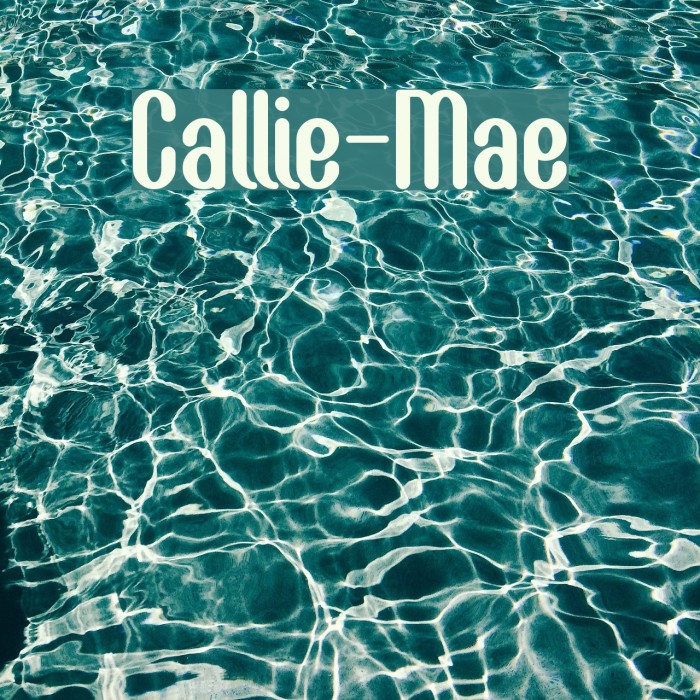 Callie-Mae Font examples