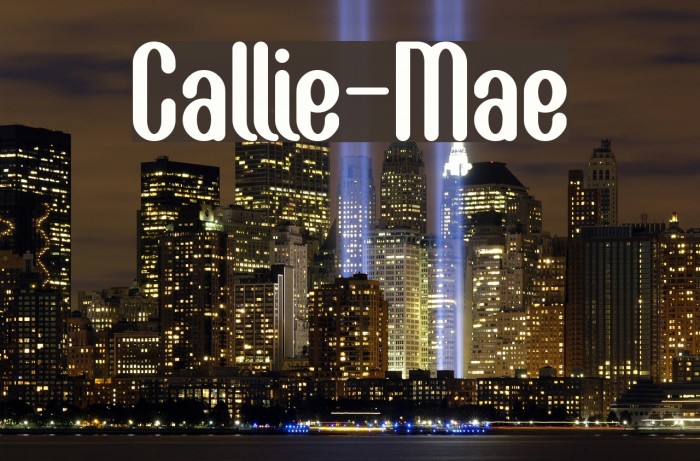 Callie-Mae Font examples
