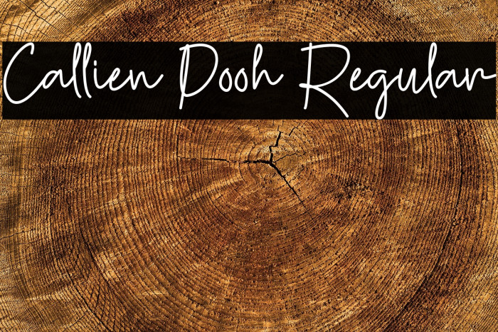 Callien Pooh Regular Example 1