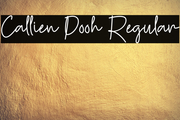 Callien Pooh Regular Example 2