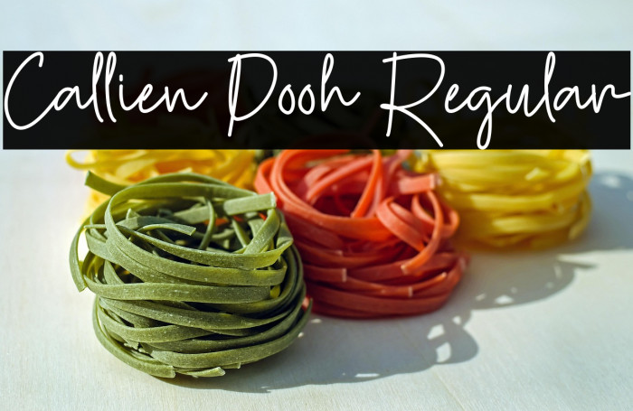 Callien Pooh Regular Example 3