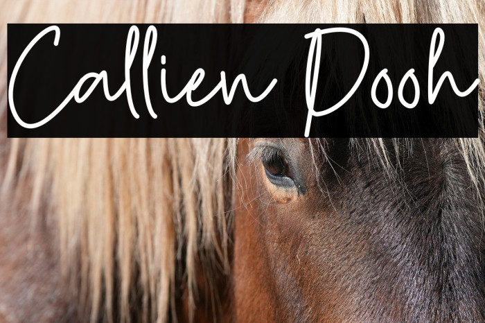 Callien Pooh Example 2