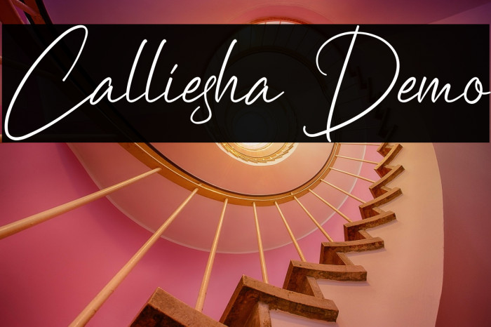 Calliesha Demo Example 1