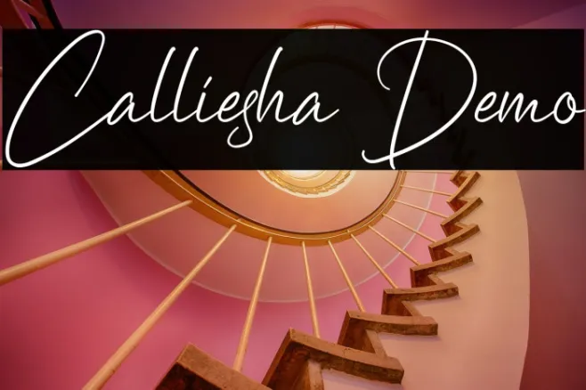 Calliesha Demo Example 1