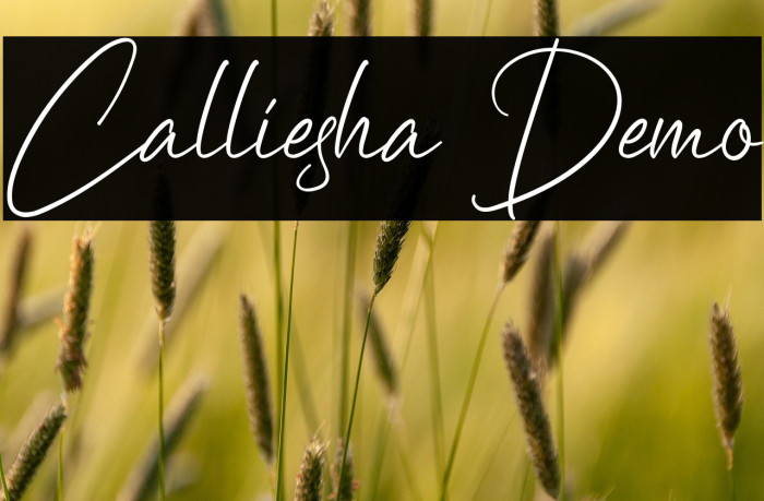 Calliesha Demo Example 2