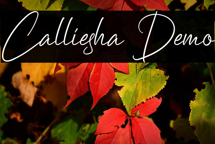 Calliesha Demo Example 3