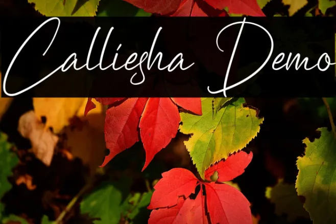 Calliesha Demo Example 3