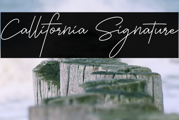 Callifornia Signature Example 2