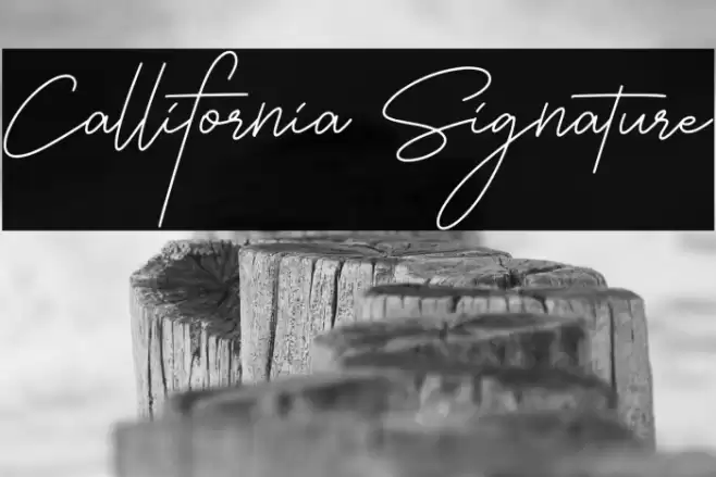 Callifornia Signature Schriftart examples