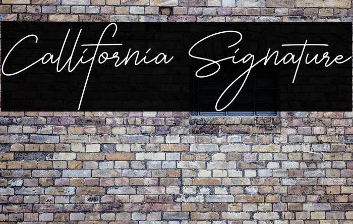 Callifornia Signature Example 3
