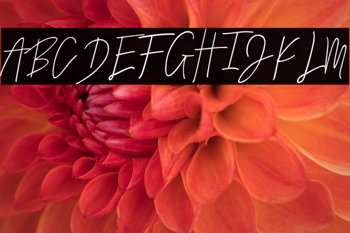 Callifornia Example 2