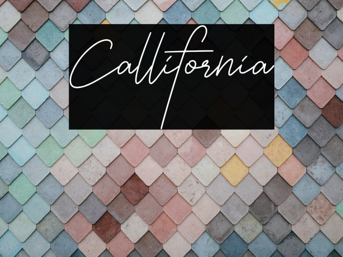 Callifornia Example 2