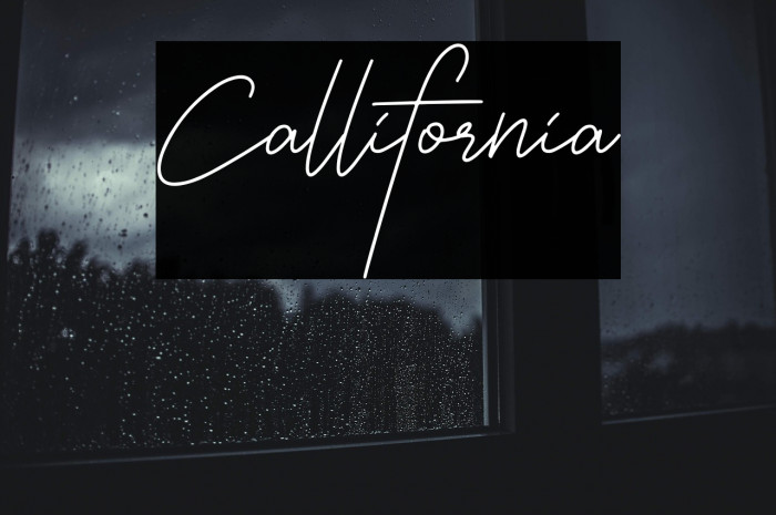 Callifornia Example 3