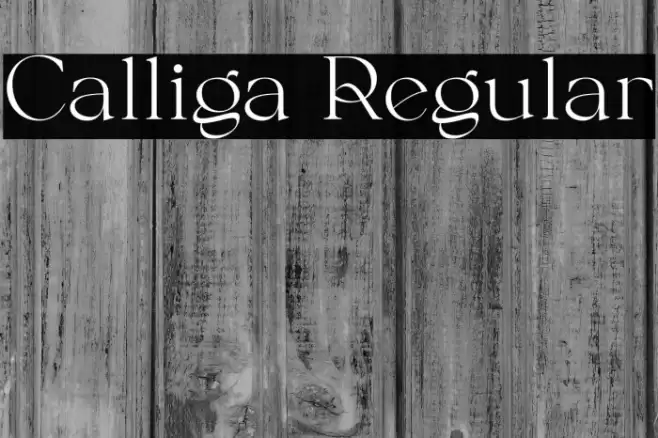 Calliga Regular Font examples
