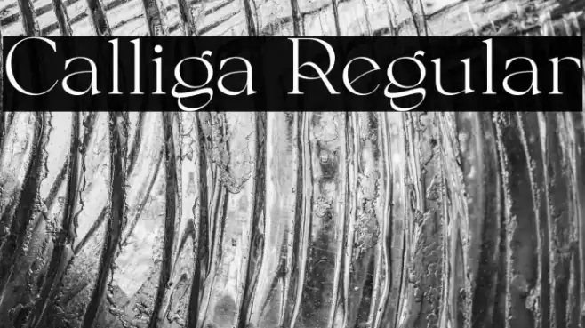Calliga Regular Font examples