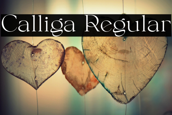 Calliga Regular Example 3