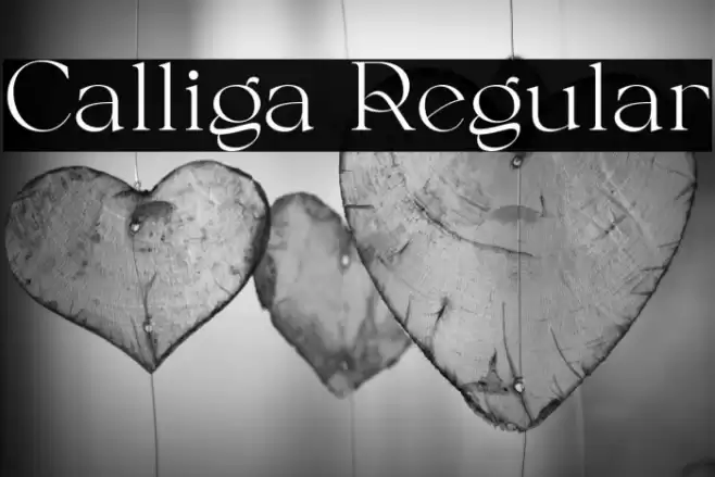 Calliga Regular Font examples