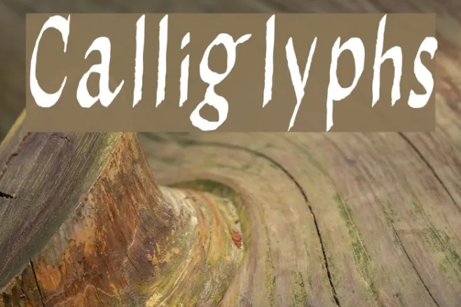 Calliglyphs Example 2