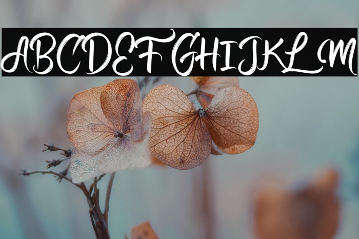 CalligraMarriage-Regular Example 1