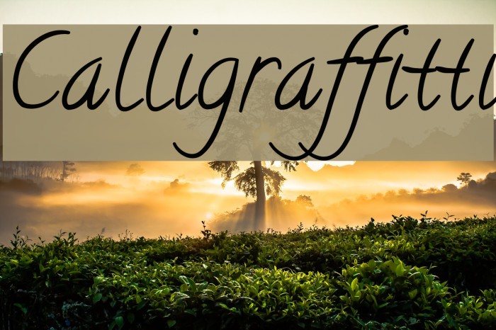 Calligraffitti Font examples