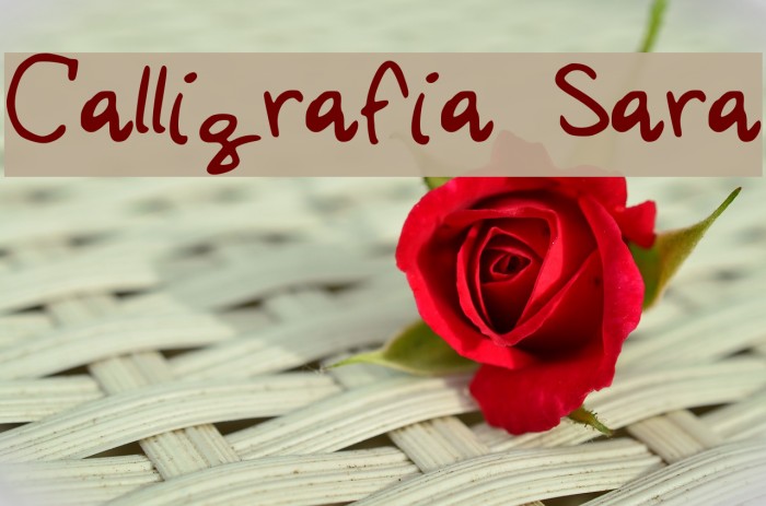 Calligrafia Sara Example 1