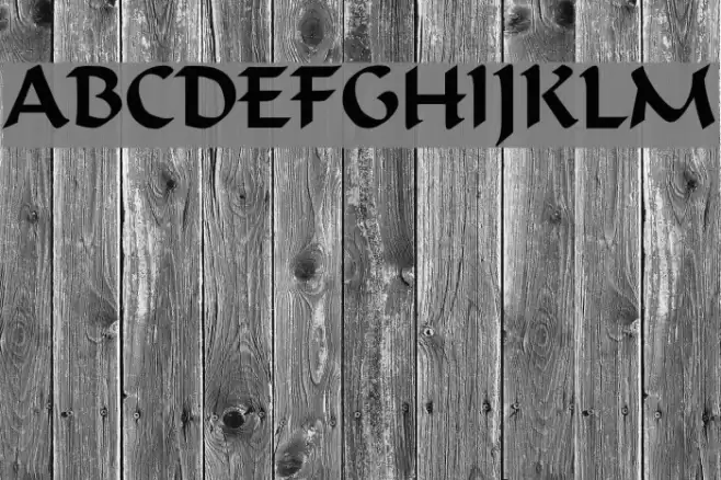 Calligrapher Regular Caratteri examples