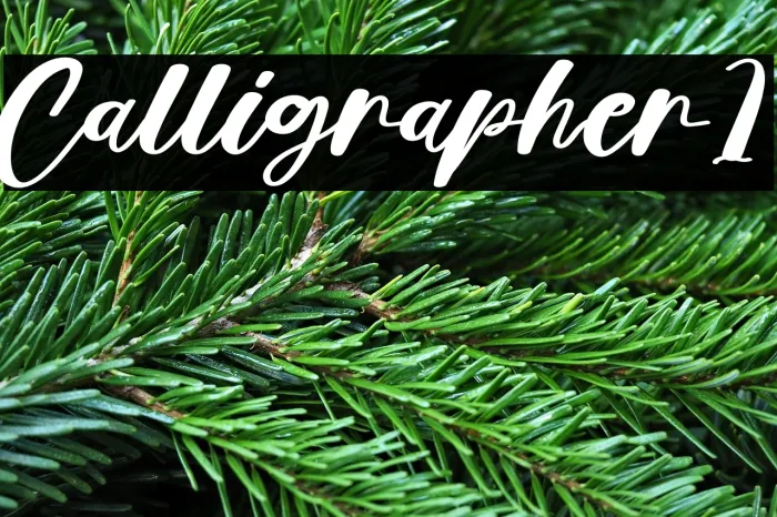 Calligrapher1 Example 1