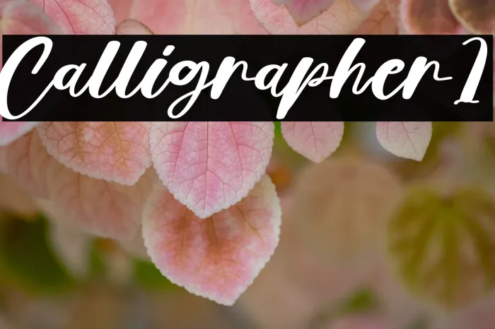 Calligrapher1 Example 3