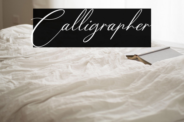 Calligrapher Example 1