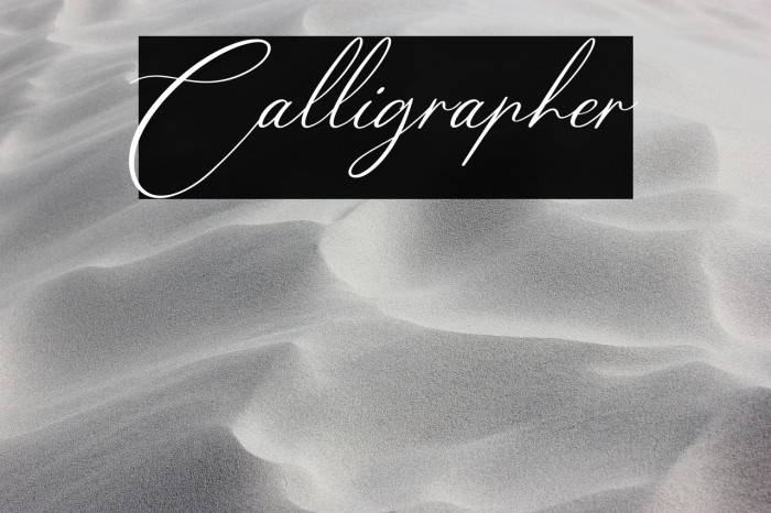 Calligrapher Example 2