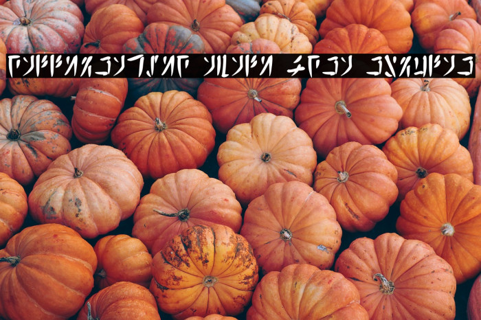 Calligraphic Avali Scra Regular Example 1