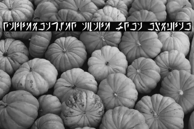 Calligraphic Avali Scra Regular フォント examples