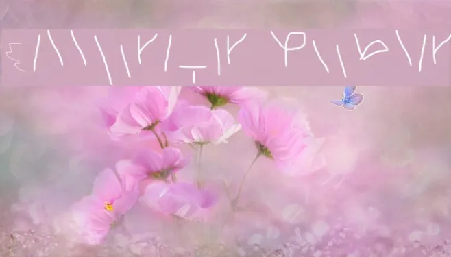 Calligraphr Regular Example 2