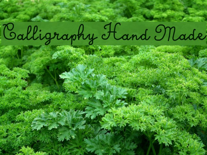 Calligraphy Hand Made Font examples