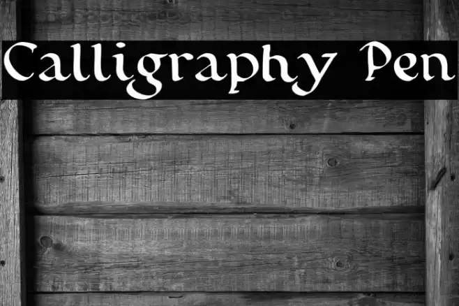 Calligraphy Pen Schriftart examples