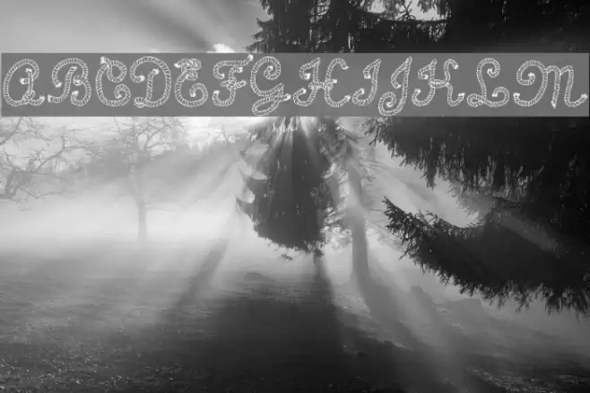 Calligraphy Rope Font examples