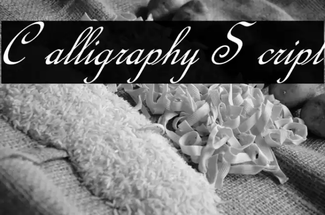 Calligraphy Script Font examples